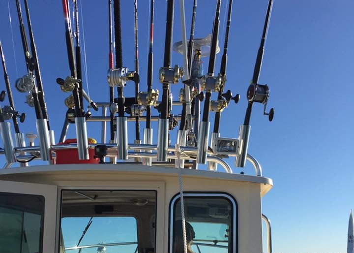 Rods and reels all set and ready to go fishing