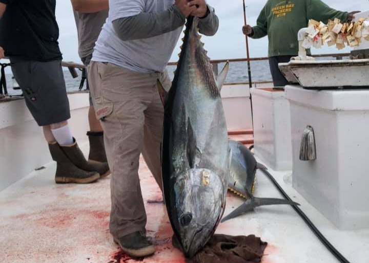 Bluefin Tuna off San Diego on a overnight trip
