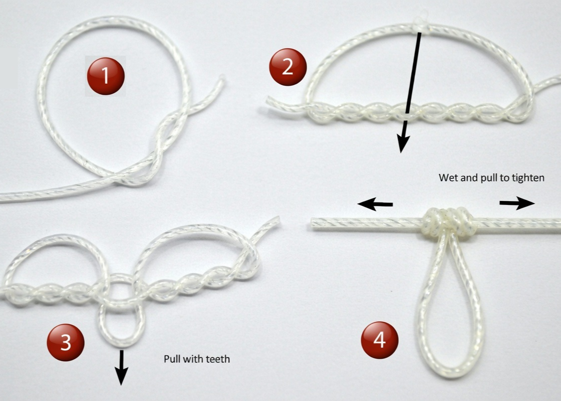 How to tie a dropper loop