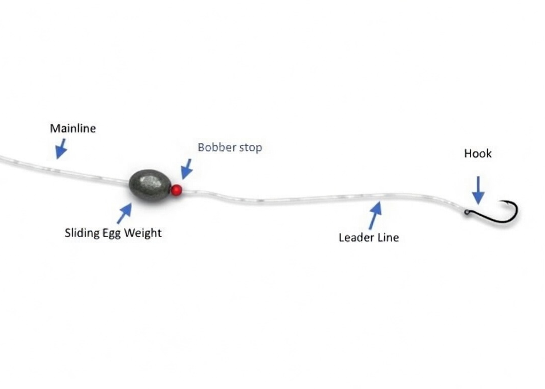 Slider Rig for Live Bait Fishing