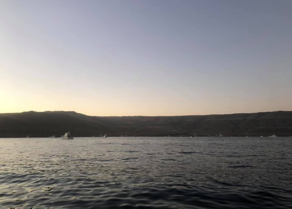 How Swell and Wind Affect Fishing in Southern California