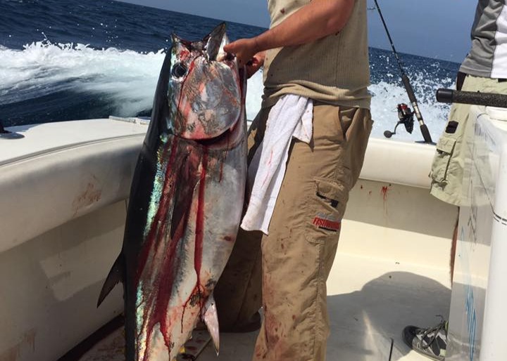 Best Tuna Lures for trolling